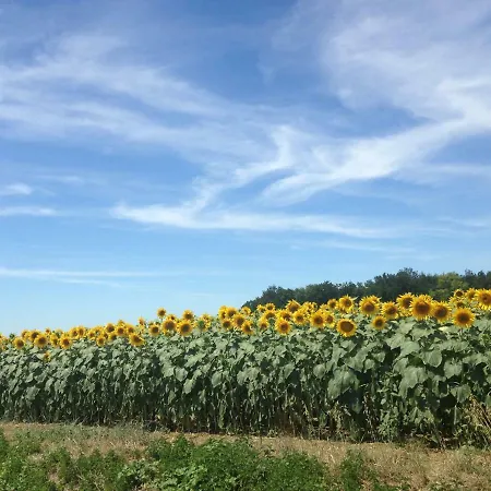 La Little School D'hotes A Arcay Arcay (Vienne)